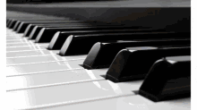 learn piano learn to play piano for adults learn piano learn to play piano for adults