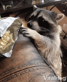 Stealing Viralhog GIF - Stealing Viralhog Snacks GIFs
