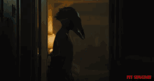 bird mask door creepy scary pet sematary movie