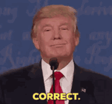 2020 Donald Trump GIF - 2020 Donald Trump Correct GIFs