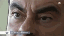Carlos Ghosn GIF - Carlos Ghosn GIFs