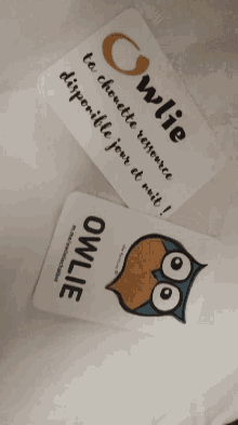 Owlie Chatbot GIF - Owlie Chatbot Owl GIFs