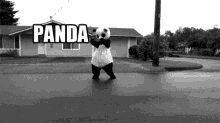 Panda Hit And Run GIF - Panda Hit And Run GIFs
