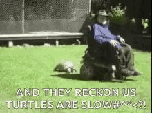 Animal Shade Turtles GIF - Animal Shade Turtles Ride On Motor GIFs