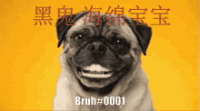 Dog Smile GIF - Dog Smile Bruh0001 GIFs