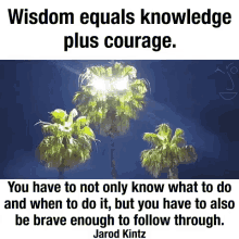 Wisdom Knowledge GIF - Wisdom Knowledge GIFs