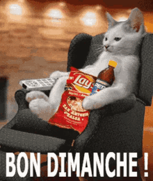 Cat Dimanche GIF - Cat Dimanche GIFs