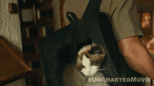 Let Me Out Uncharted GIF - Let Me Out Uncharted Get Me Out Of This Bag GIFs