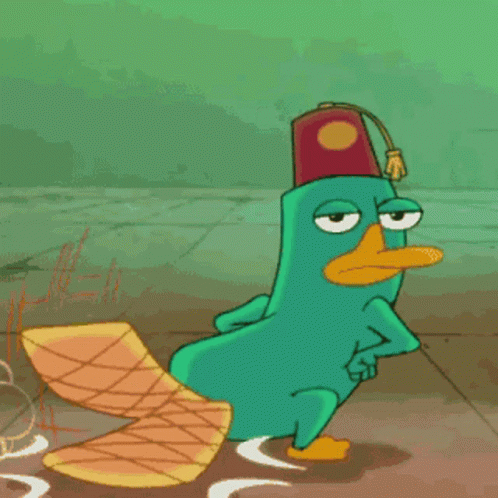 Perry The Platypus,Phineas And Ferbs,Agent P,gif,animated gif,gifs,meme.