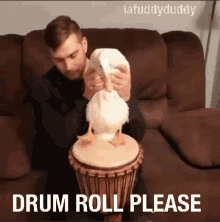 Lafuddyduddy Drum GIF - Lafuddyduddy Drum Duck GIFs