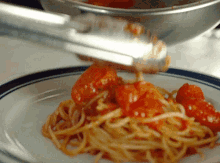 spaghetti pasta food dinner italian food