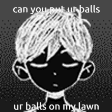omori balls can you put ur balls on my lawn