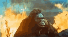 Godzilla King Kong Vs Godzilla GIF - Godzilla King Kong Vs Godzilla King Kong GIFs