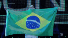 taynara conti brazil flag