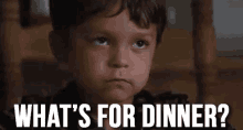 Whats For Dinner GIF - Whats For Dinner Hungry GIFs