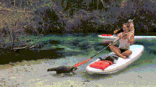 Paddle Board GIF - Paddle Board Raccoon GIFs