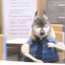 Wolf In Sheeps Clothing In Disguise GIF - Wolf In Sheeps Clothing In Disguise Undercover GIFs