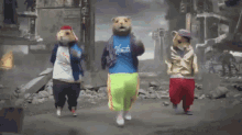Kia Hamsters GIF - Kia Hamsters Dancing GIFs