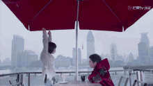 caisi daomingsi shancai shenyue meteorgarden2018