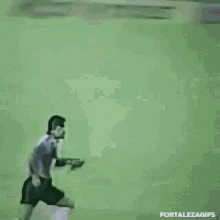 fighting fight kick kicking punch fighting fight kick kicking punch