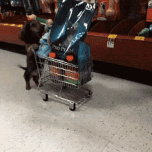 cute dogs shopping cart