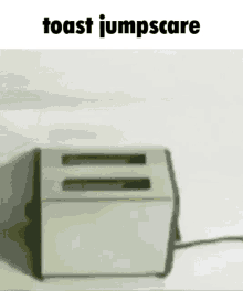 Toast Jumpscare GIF - Toast Jumpscare GIFs