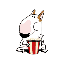movie night popcorn dog cute puppy