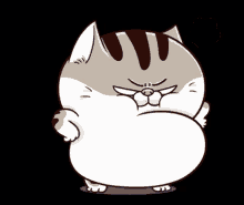 Ami Fat Cat Fgcat GIF - Ami Fat Cat Fgcat Angry GIFs