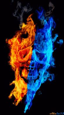 Skull Flames Flame GIF - Skull Flames Flame Fire GIFs
