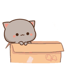 Kitty Love GIF - Kitty Love Kittens In A Box GIFs
