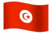 Tunisinia Flag GIF - Tunisinia Flag GIFs