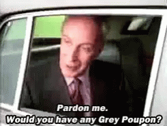 Pardon Me But Do You Have Any Grey Poupon GIFs | Tenor
