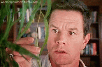 Mark Wahlberg The Happening GIF - Mark Wahlberg The Happening Plant -  Descubre &amp; Comparte GIFs