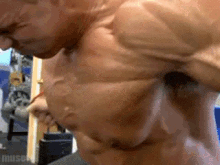 veins extreme workout gym muscle