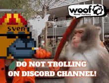 woof woofpack woofsolana woofmeme woofcoin woof woofpack woofsolana woofmeme woofcoin