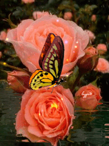 Good Morning Flowers GIF - Good Morning Flowers Beautiful In Day GIFs