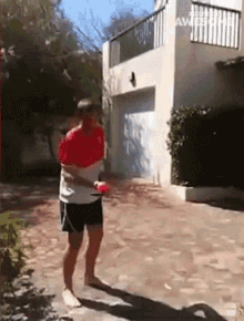 Bounce People Are Awesome GIF - Bounce People Are Awesome Balance GIFs