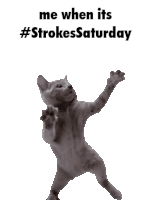 Strokes Saturday The Strokes Sticker - Strokes Saturday The Strokes Stickers