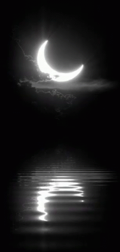 Night Nature GIF Night Moon - Discover Share GIFs