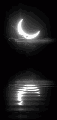 Night Nature GIF - Night Nature Moon GIFs