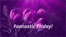 Friday Flowers GIF - Friday Flowers Tulip GIFs