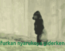 Furkan Nyarukoya Giderken Furkan Ve Nyaruko GIF - Furkan Nyarukoya Giderken Furkan Furkan Ve Nyaruko GIFs