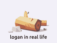 Logan Logan In Real Life GIF - Logan Logan In Real Life Real Logan GIFs