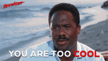 You Are Too Cool Chilly GIF - You Are Too Cool Chilly Calm GIFs