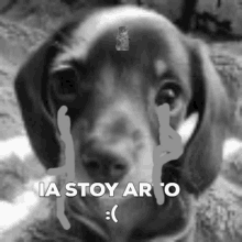 Puppy Sad Cry GIF - Puppy Sad Cry GIFs