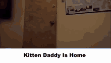 Discord Discord Mod GIF - Discord Discord Mod Kitten GIFs