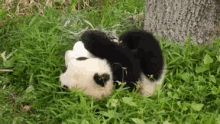 Rolling Panda GIF - Rolling Panda Cute Dog GIFs