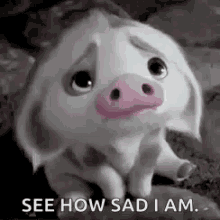 Crying See How Sad Iam GIF - Crying See How Sad Iam Sad Face GIFs