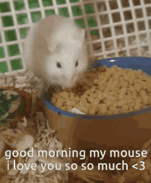 Munchers Good Morning My Mouse GIF - Munchers Good Morning My Mouse Good Morning GIFs