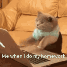 Typing Cat GIF - Typing Cat Working GIFs